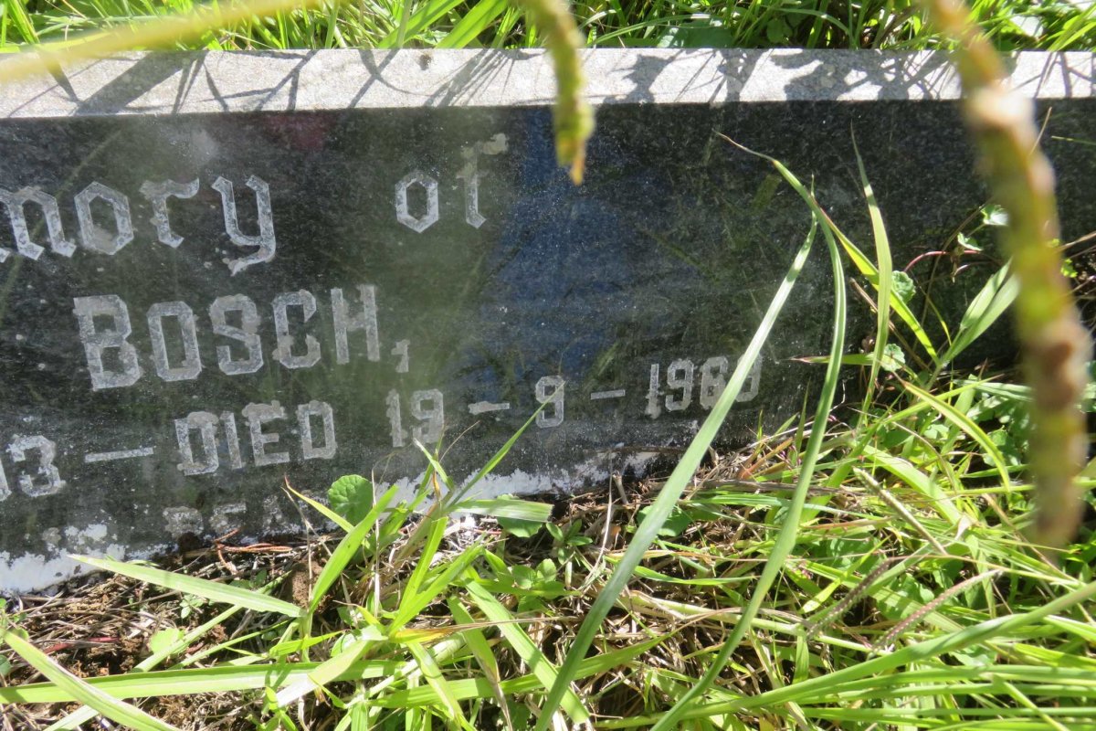 BOSCH Gert 1893-1969