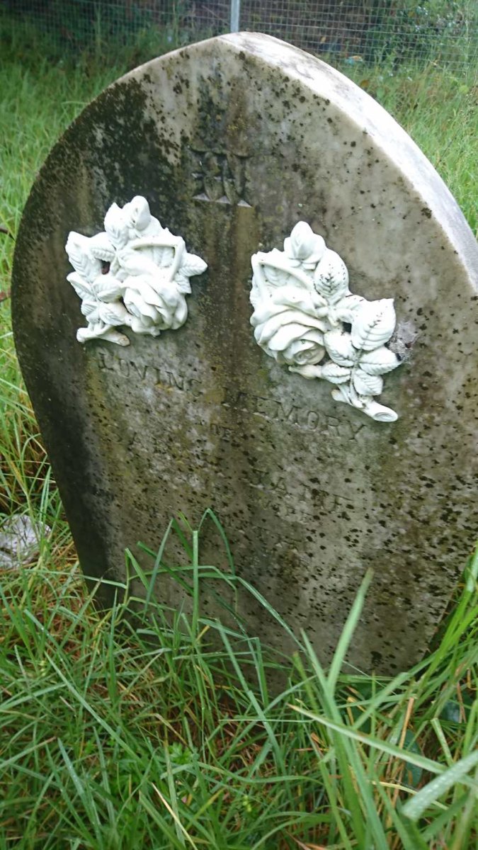 SMITH Sarah Jane -1895