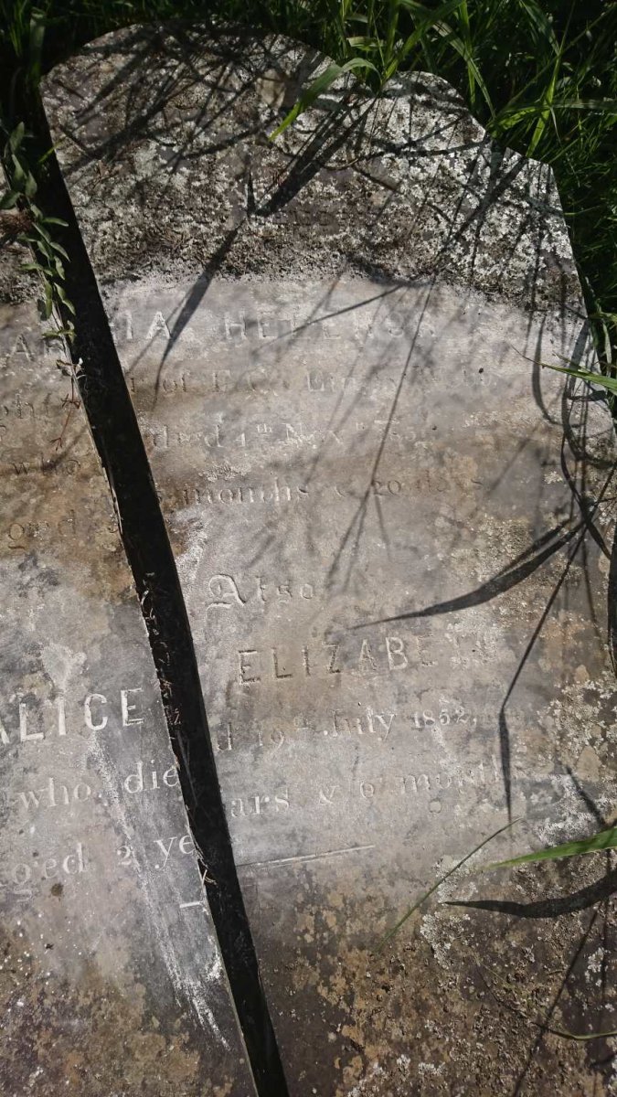 WEBB Maria Helenor -1851 :: WEBB Alice Elizabeth -1852