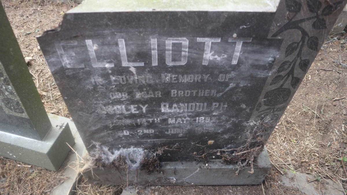ELLIOTT Dudley Randolph 1892-1969