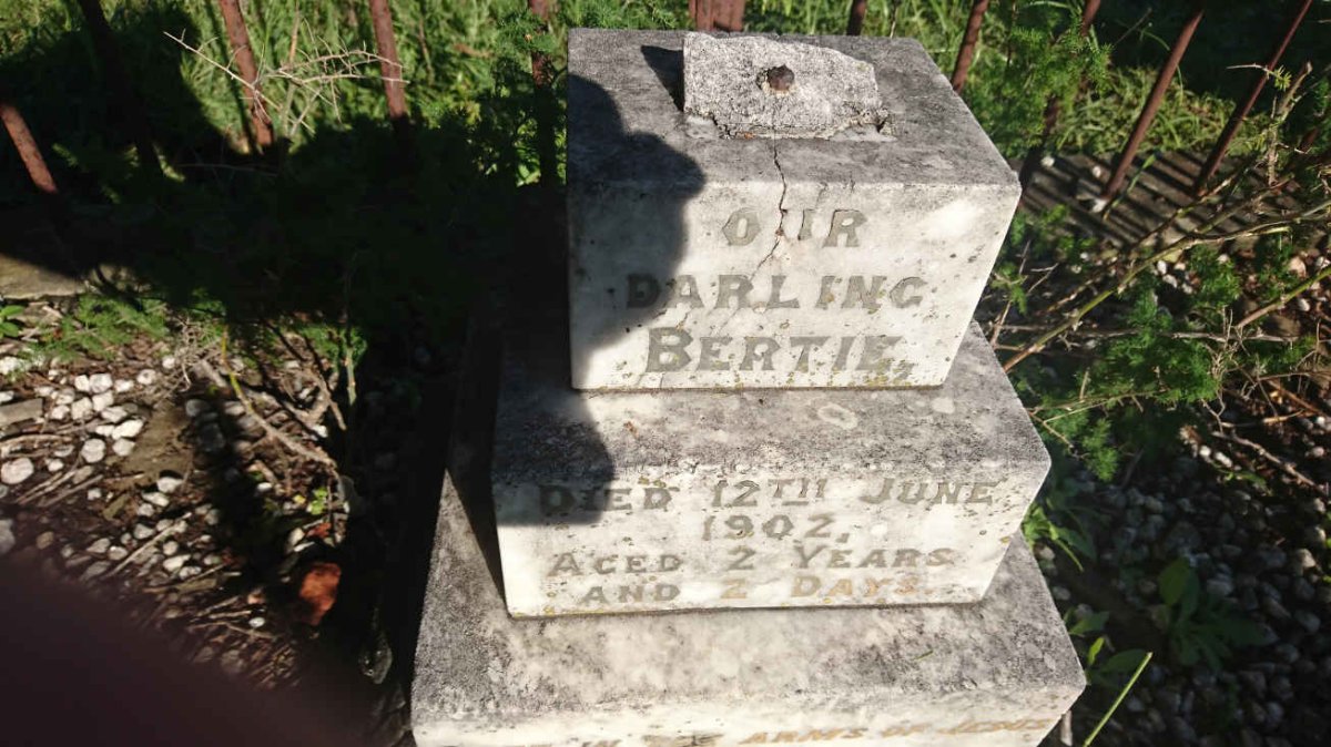 ? Bertie -1902