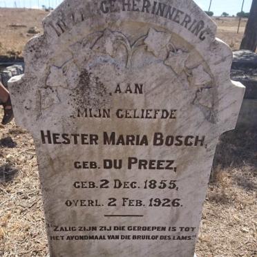 BOSCH Hester Maria nee DU PREEZ 1855-1926
