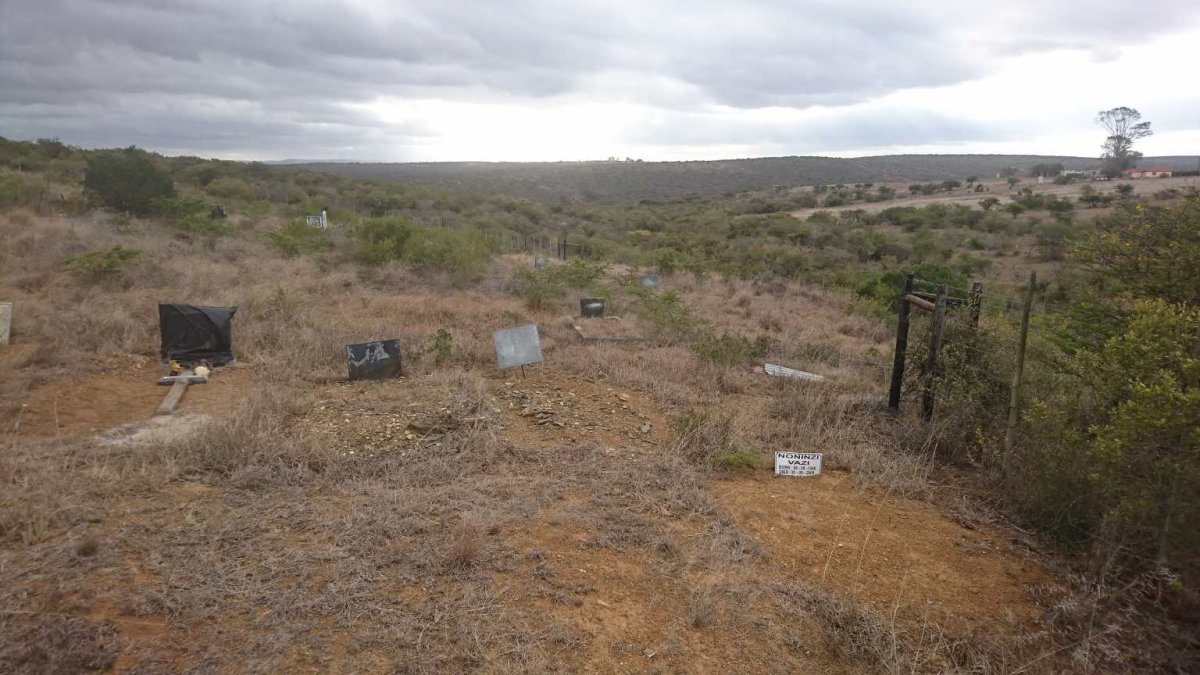 2. Overview