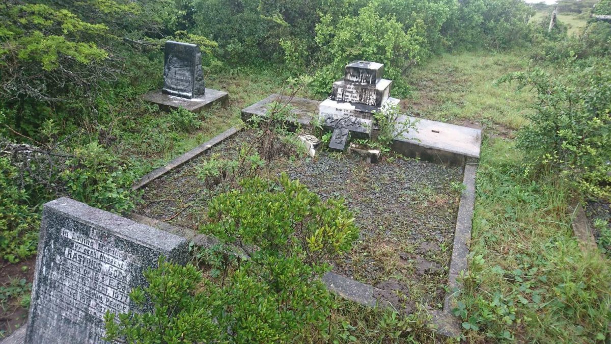 5. Overview