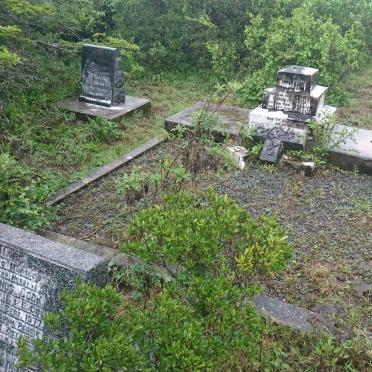 5. Overview