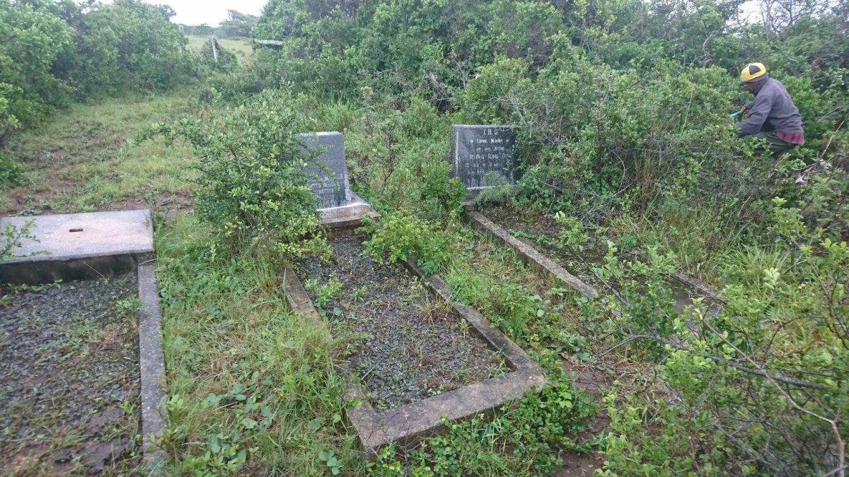 3. Overview