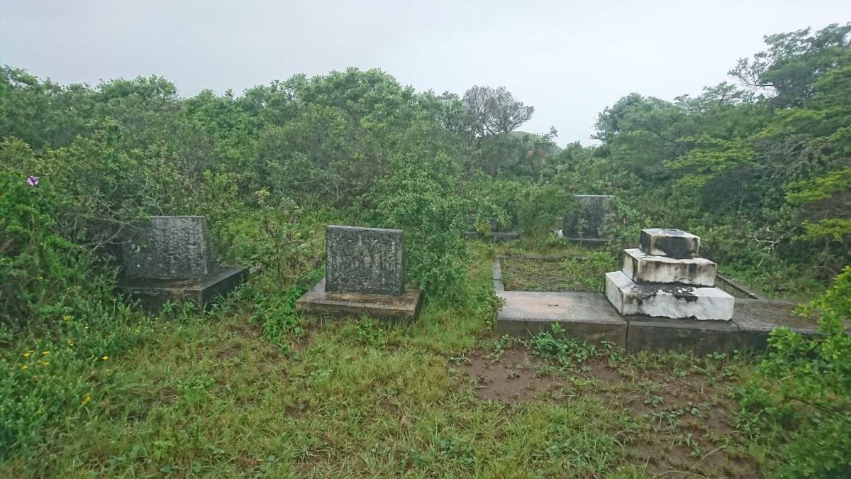 4. Overview