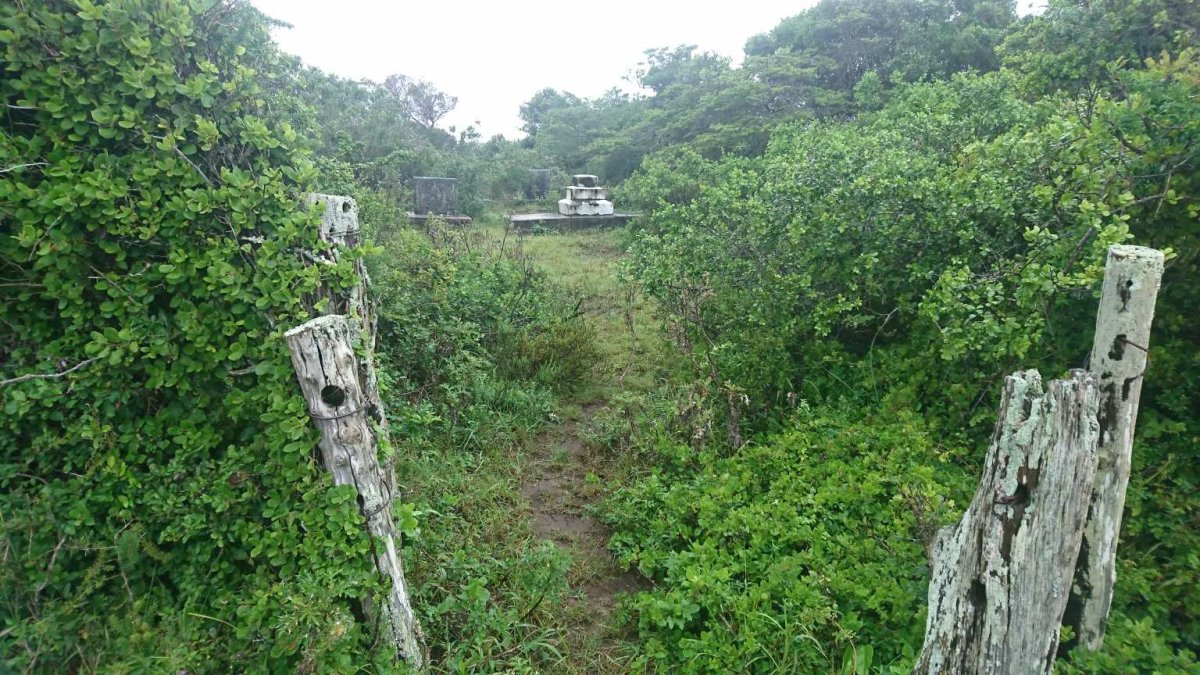 2. Overview