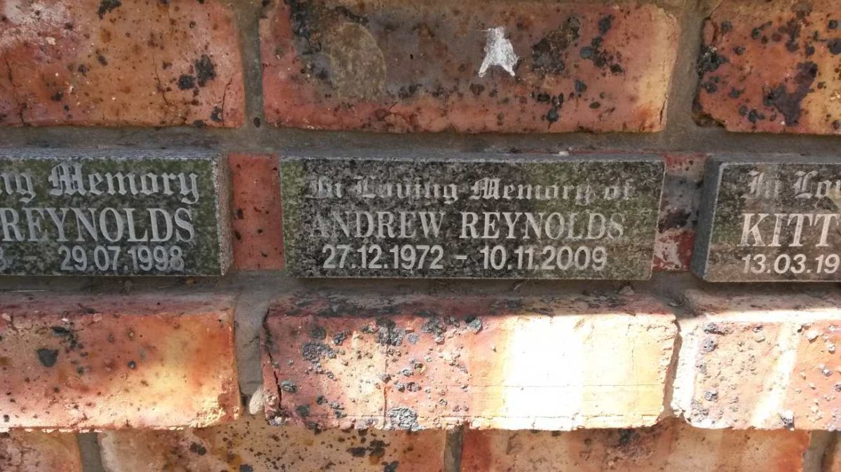 REYNOLDS Andrew 1972-2009