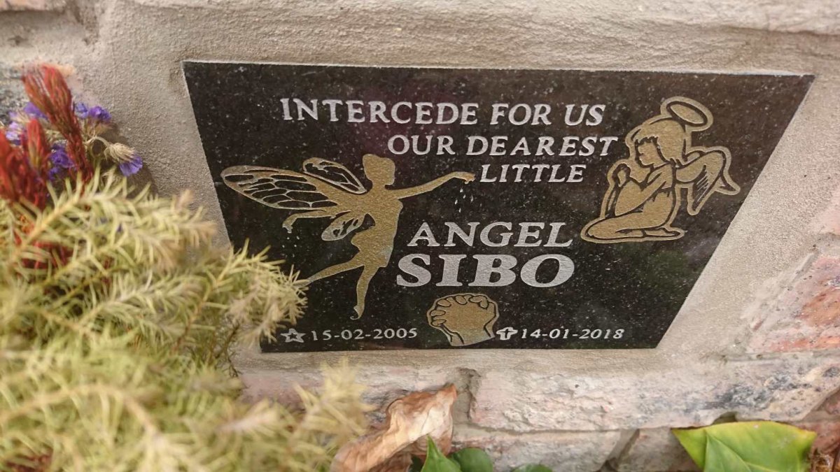 SIBO 2005-2018