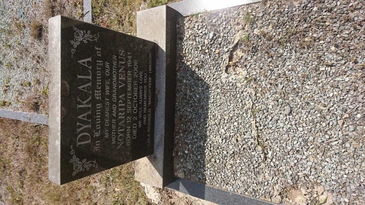 DYAKALA Notaripa Venus 1941-2006