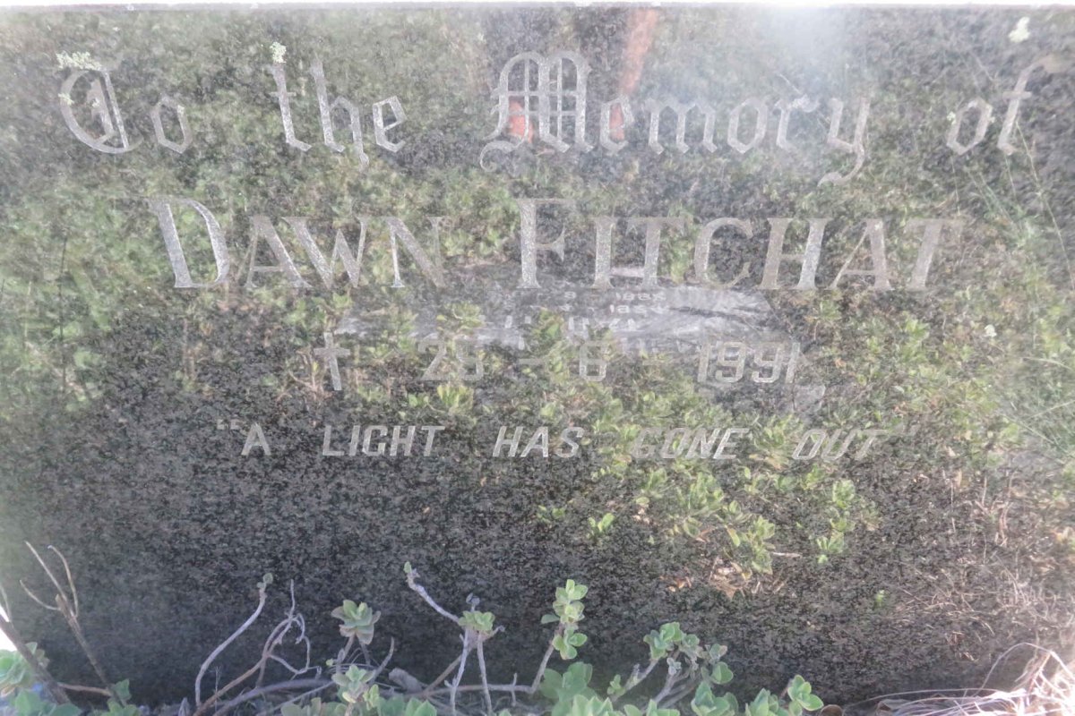 FITCHAT Dawn -1991