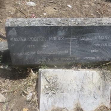 MORRIS Walter Godfrey 1872-1953 &amp; Isabella Mary LLOYD 1890-