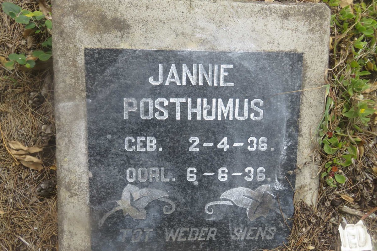 POSTHUMUS Jannie 1936-1936