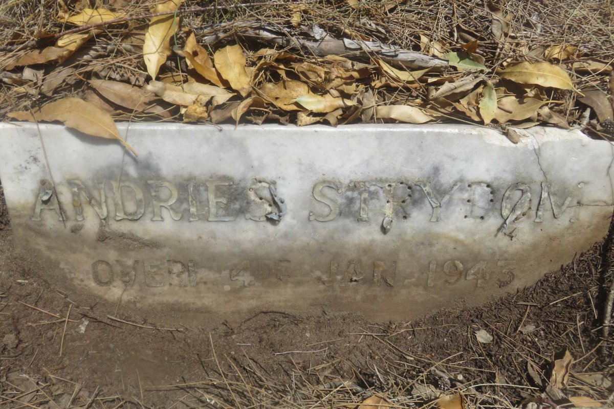 STRYDOM Andries -1943