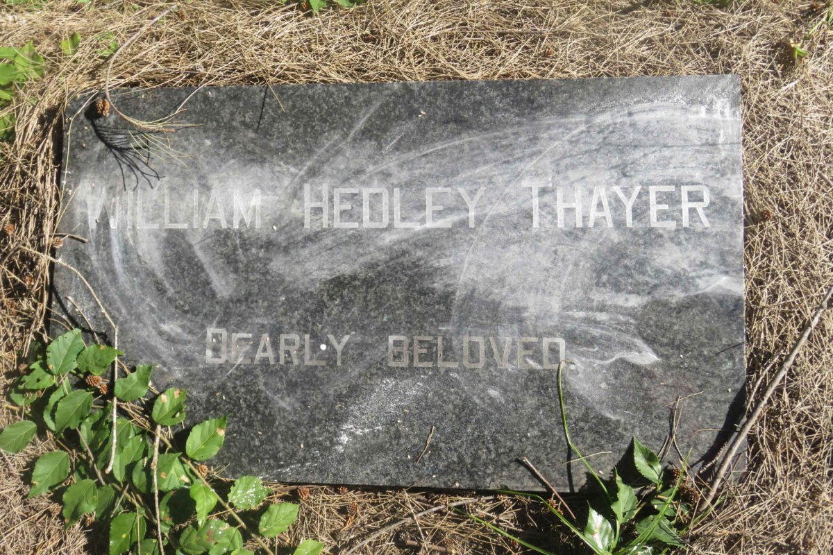 THAYER William Hedley