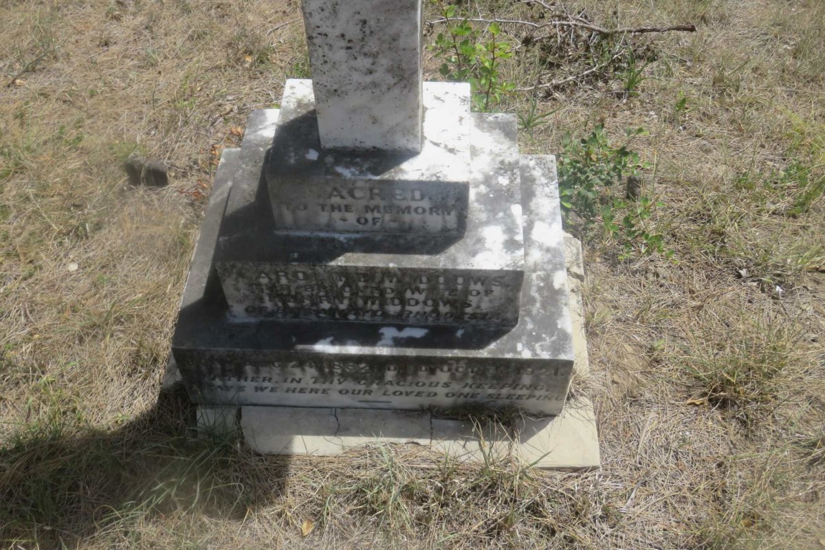 WIDDOWS Caroline 1882-1921