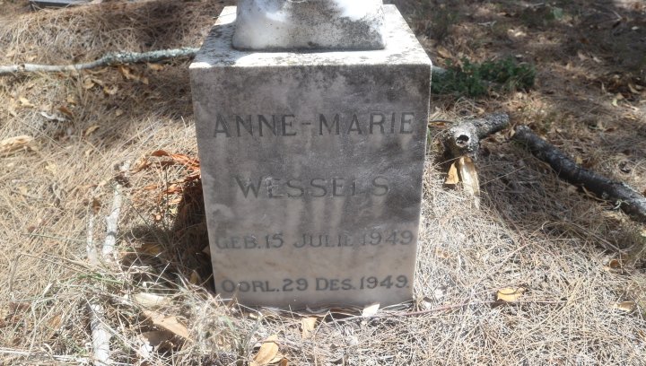 WESSELS Anne-Marie 1949-1949