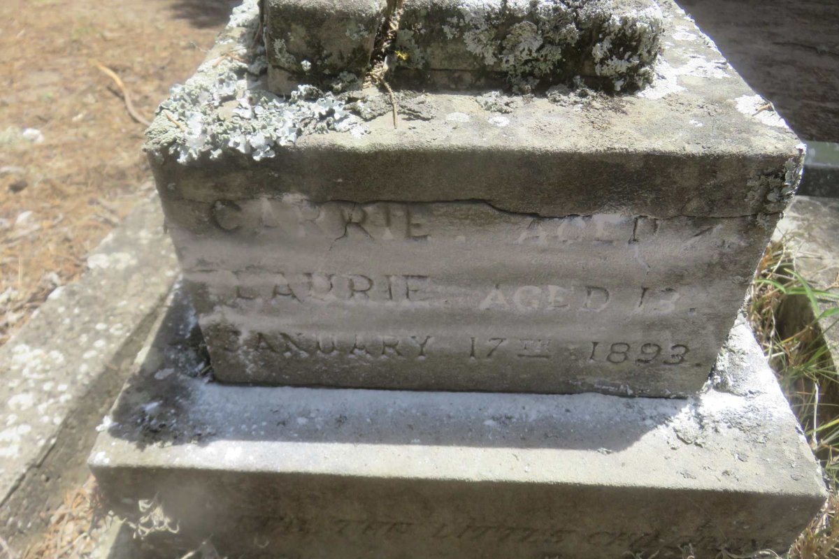 ? Carrie :: ? Laurie -1893