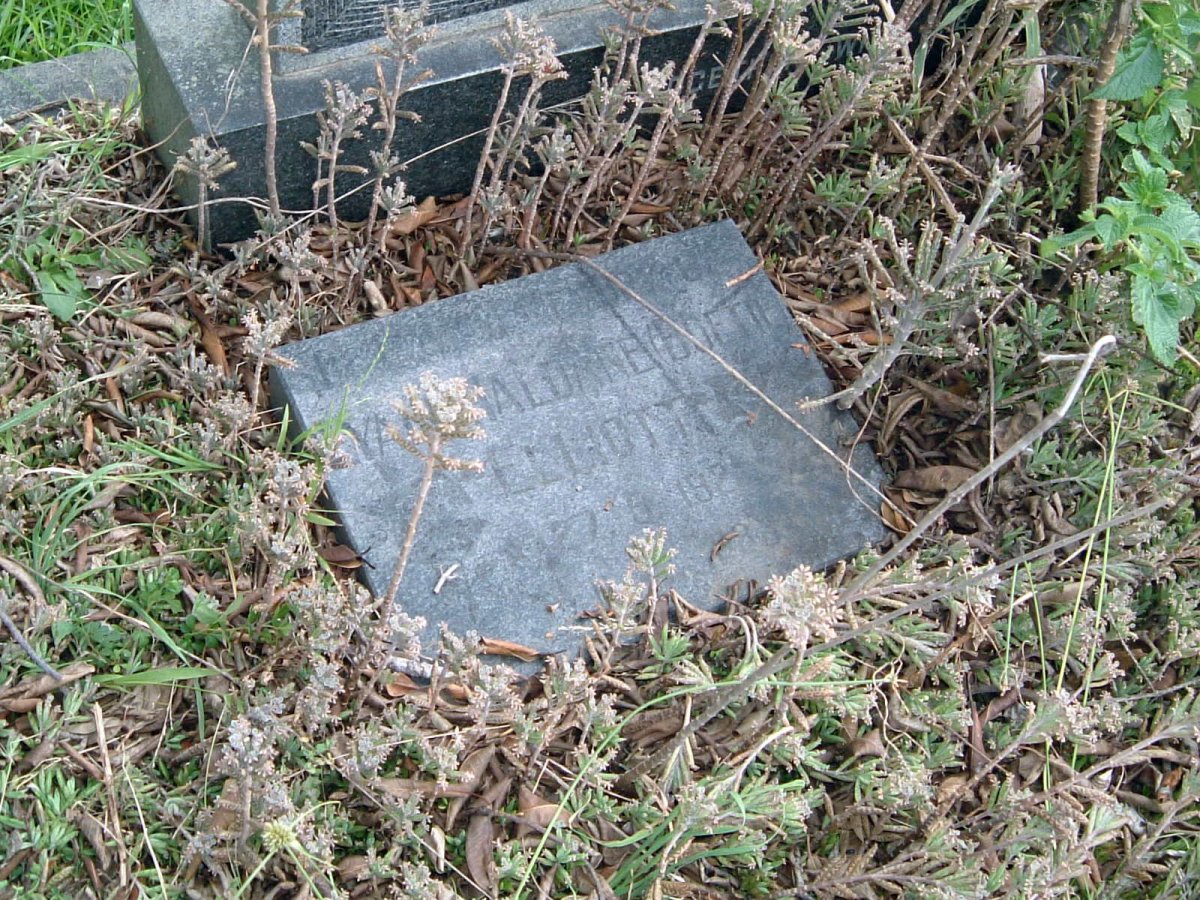 ELLIOTT Lyall Haldane 1922-??