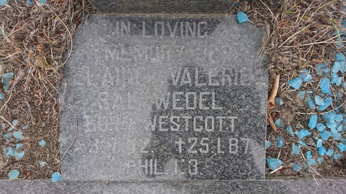 SALZWEDEL Elaine Valerie nee WESTCOTT 1942-1987