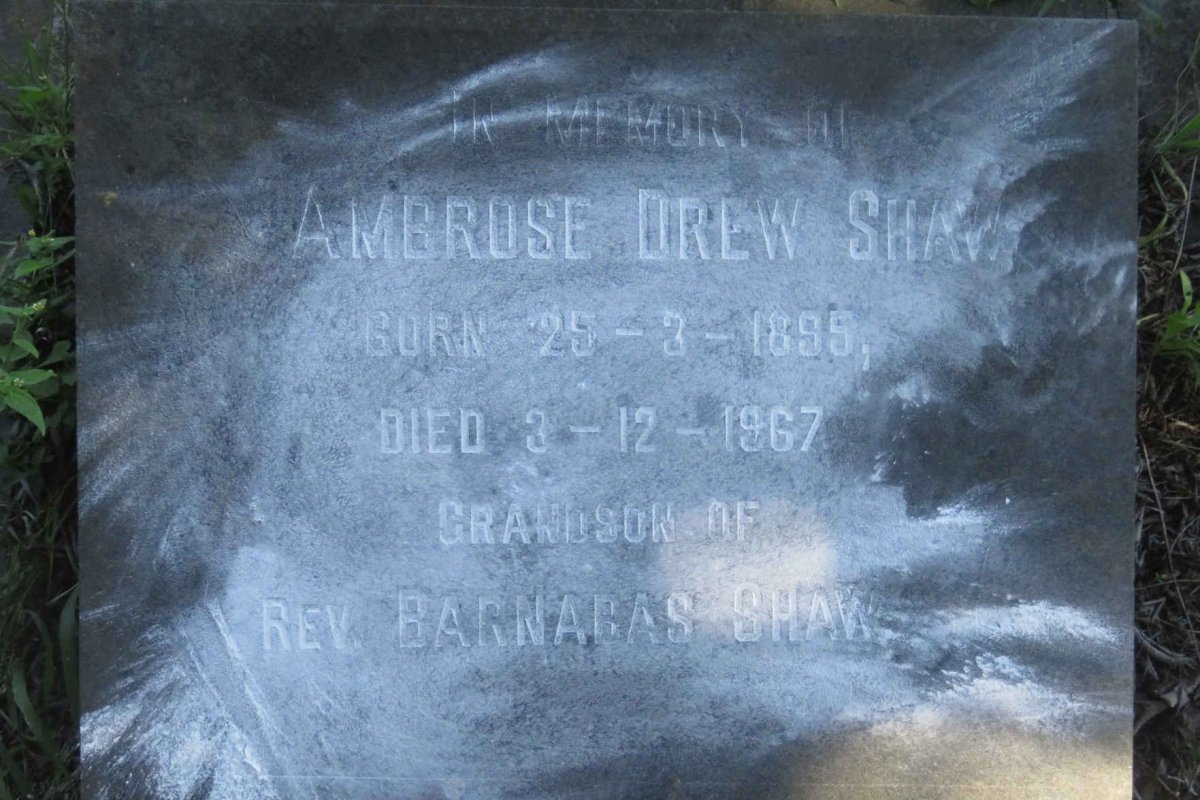 SHAW Ambrose Drew 1895-1967