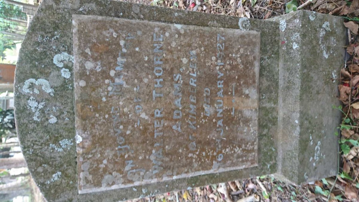 ADAMS Walter Thorne -1927