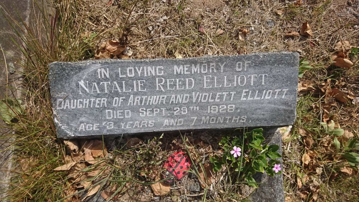 ELLIOTT Natalie Reed -1928