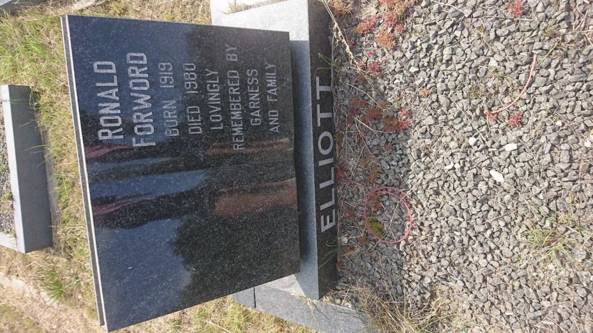 ELLIOTT Ronald Forword 1919-1980