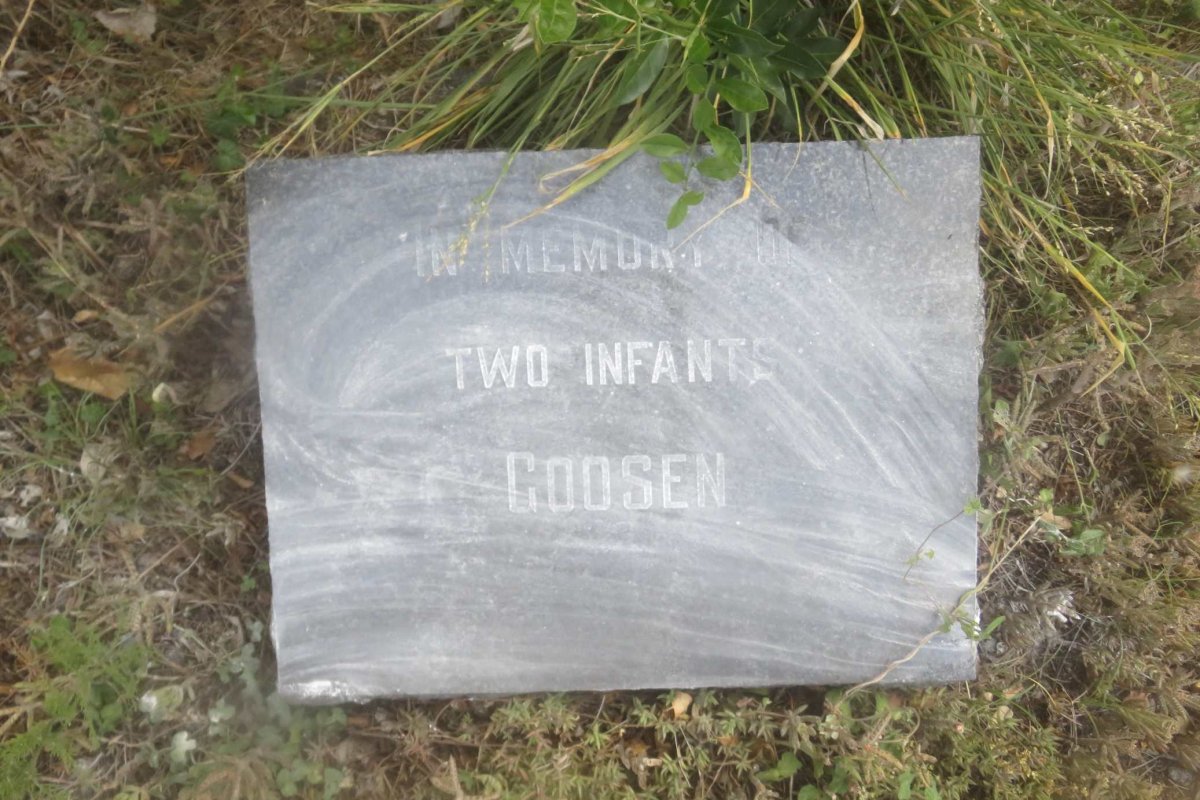 GOOSEN