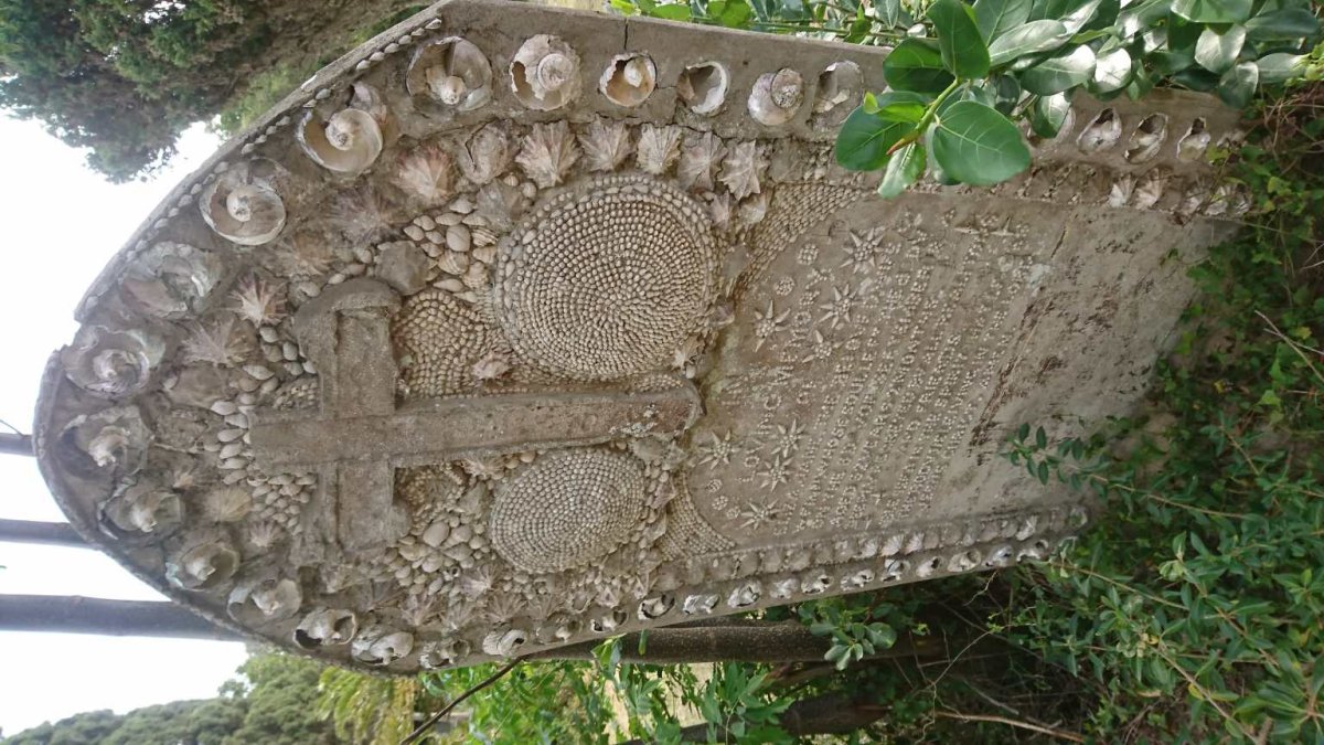 ? Eliza Jane -1894