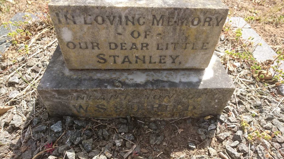 REED Stanley