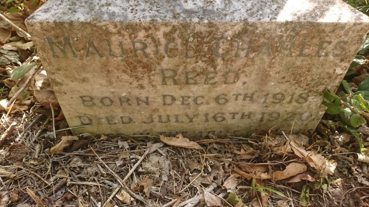 REED Maurice Charles 1918-1920