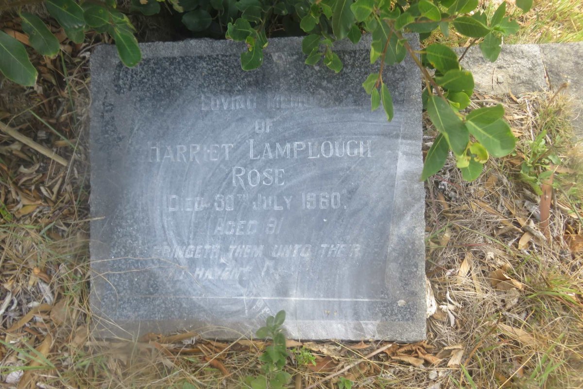 ROSE Harriet Lamplough -1960