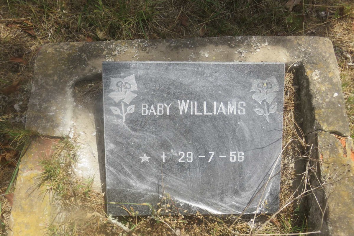 WILLIAMS Baby 1956-1956