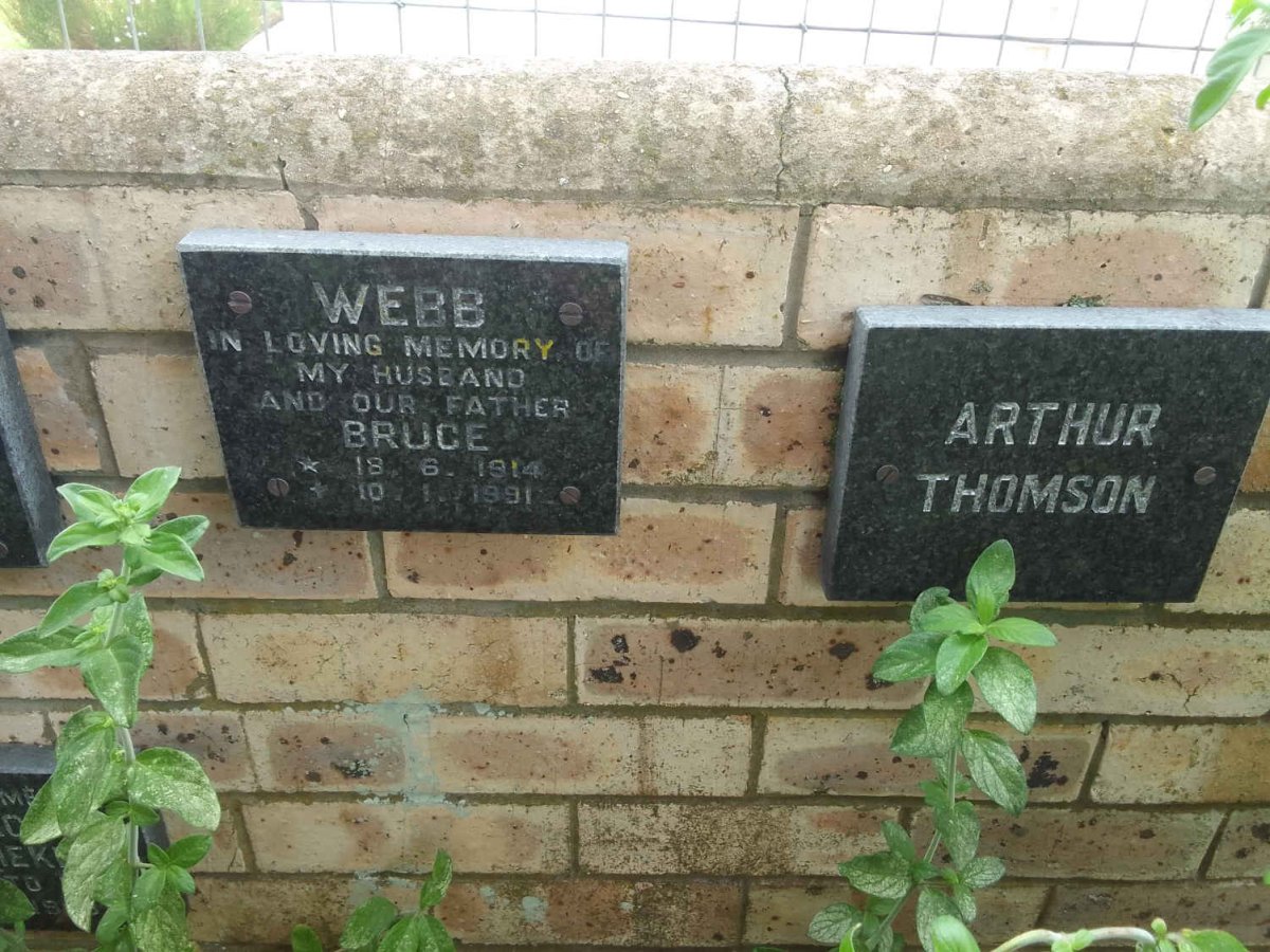 WEBB Bruce 1914-1991 :: THOMSON Arthur