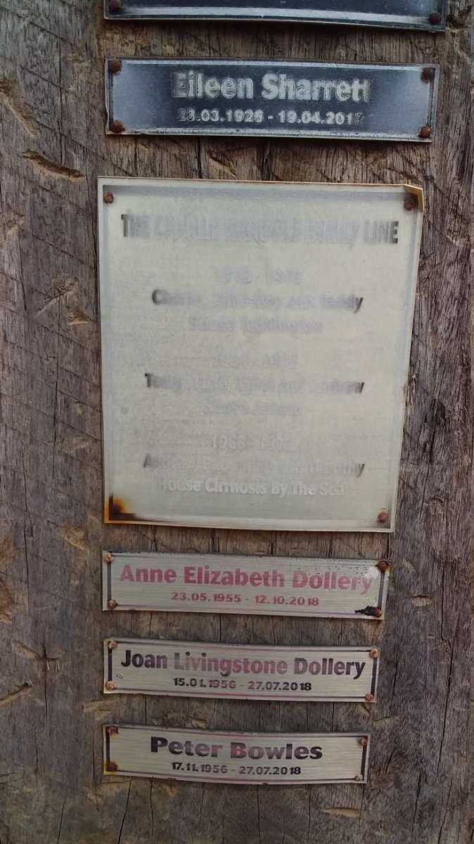 SHARETT Eileen 1926-2017 :: MANGOLD :: DOLLERY Anne Elizabeth 1955-2018 :: DOLLERY Joan Livingstone 1956-2018