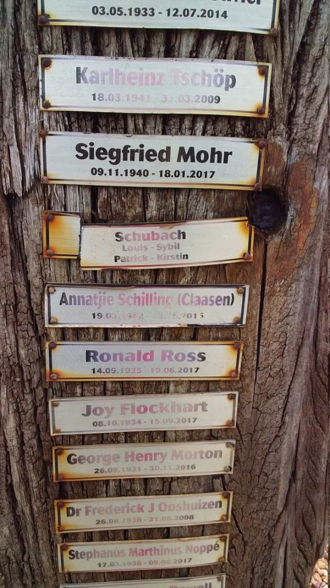 TSCHÖP Karlheinz 1941-2009 :: MOHR Siegfried 1940-2017 :: SCHUBACH Louis :: SCHUBACH Sybil :: SCHUBACH Patrick