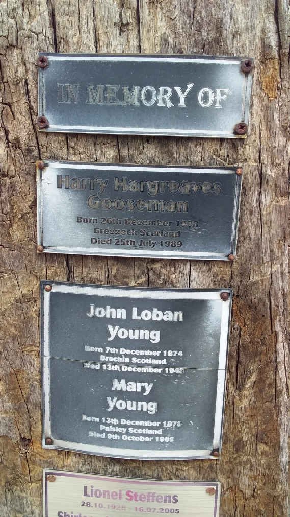 GOOSEMAN Harry Hargreaves 1908-1989 :: YOUNG John Loban 1874-1941 &amp; Mary 1876-1909