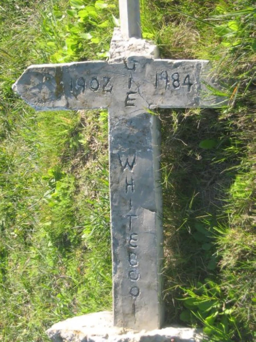 WHITEBOOI 1902-1984