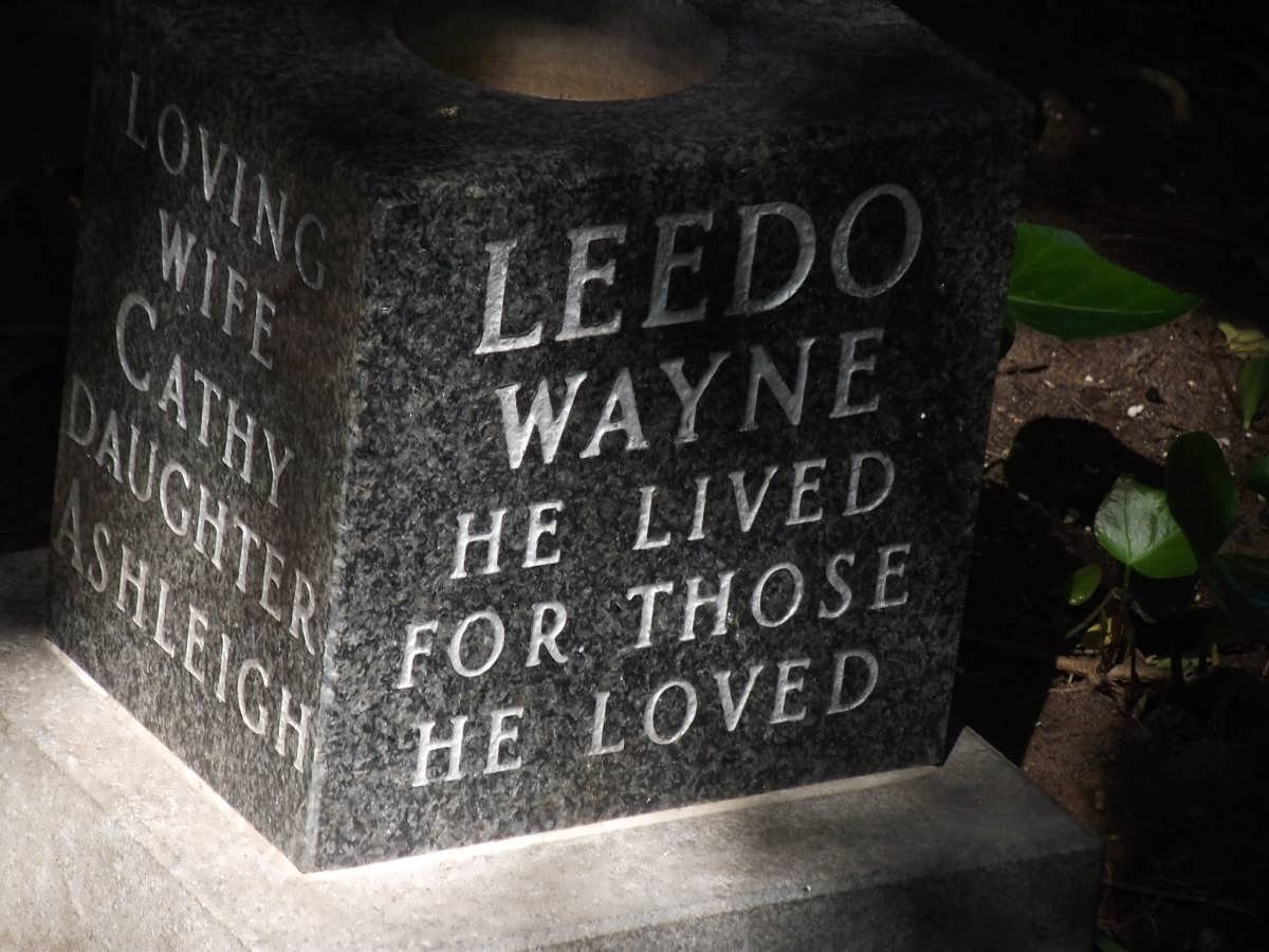 LEEDO Wayne