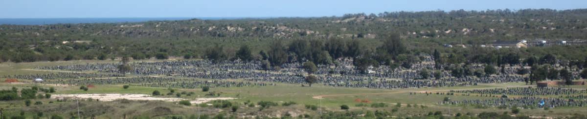 01. Arial view