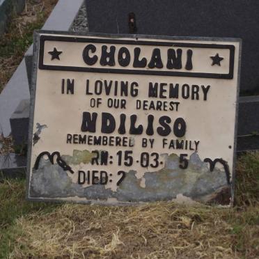 CHOLANI Ndiliso