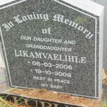 LUPUZI Likamvaelihle 2006-2009