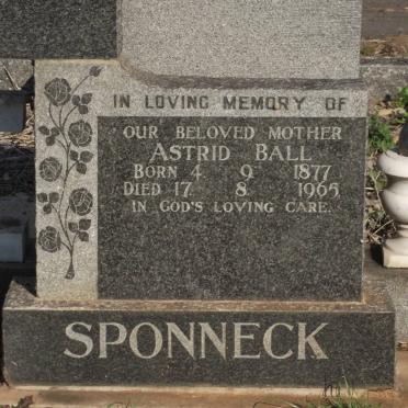SPONNECK