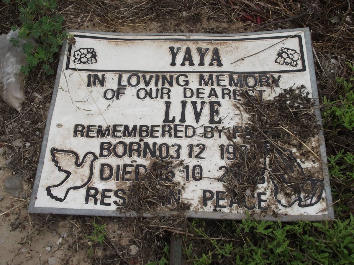 YAYA Live 1987-2008