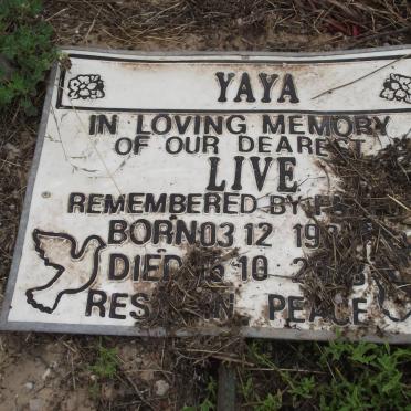 YAYA Live 1987-2008