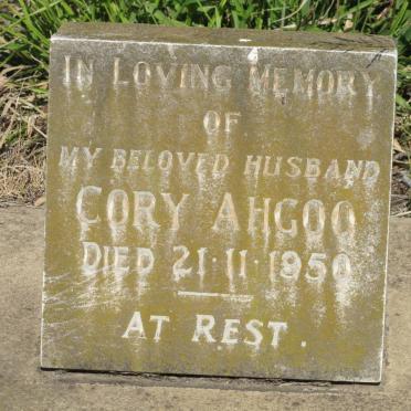 AHGOO Cory -1950