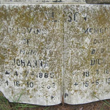 ALLISON Dick 1884-1929 &amp; Johanna 1885-1962