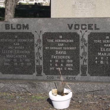 BLOM :: VOGEL
